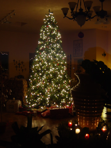 christmas_tree_fountain